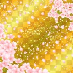 東京の桜の名所ランキング！お花見におすすめの公園